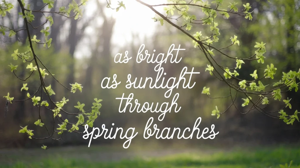 As Bright as Sunlight Through Spring Branches