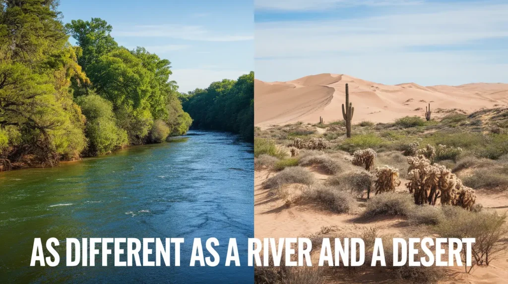 as-different-as-a-river-and-a-desert