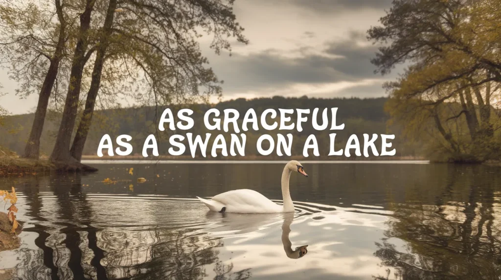 As Graceful as a Swan on a Lake