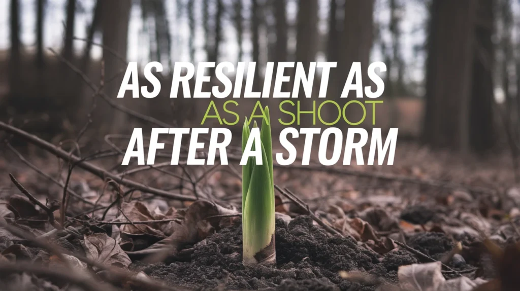 As Resilient as a Shoot After a Storm