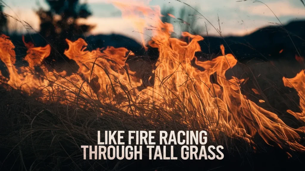 Like Fire Racing Through Tall Grass