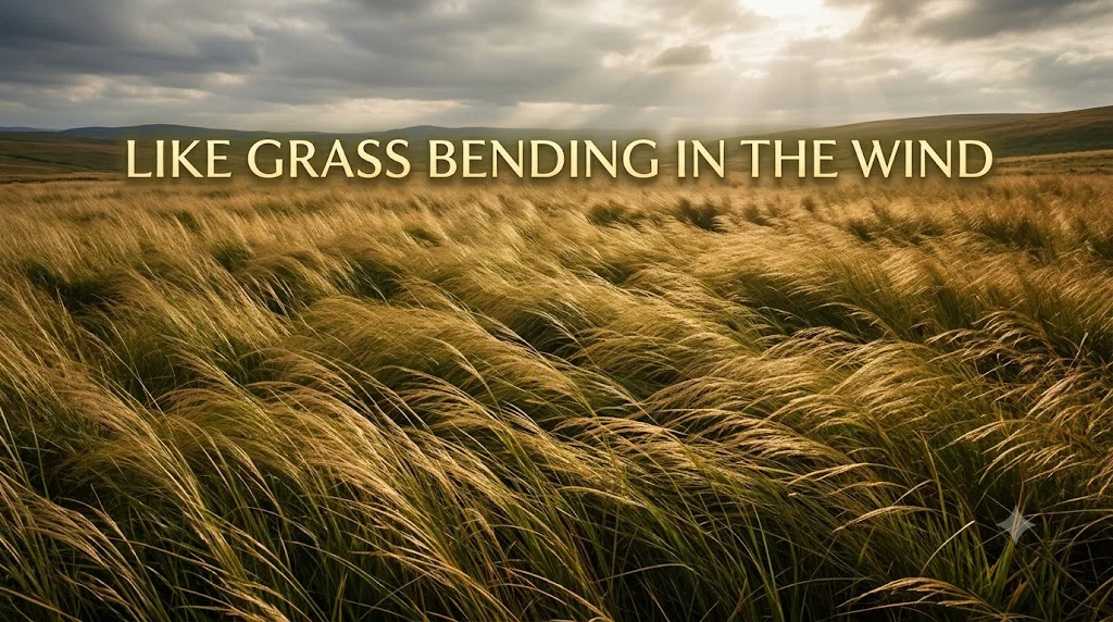 Like Grass Bending in the Wind