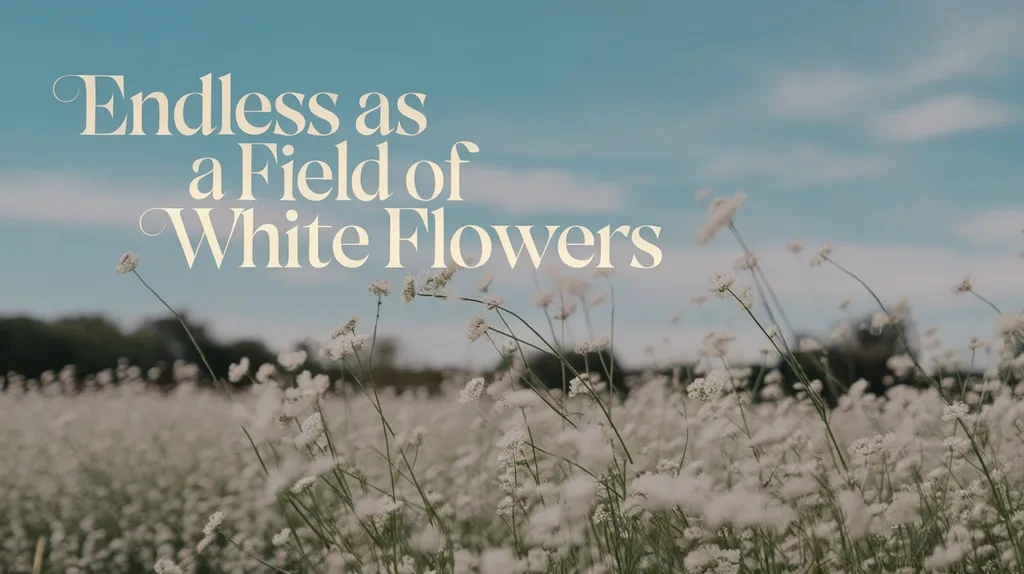 Endless as a Field of White Flowers